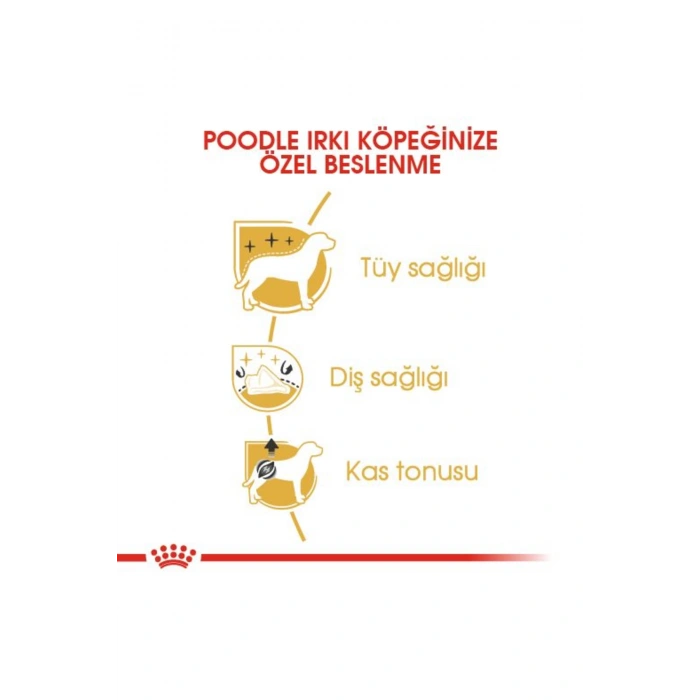 Poodle Yetişkin Kuru Köpek Maması 3kg