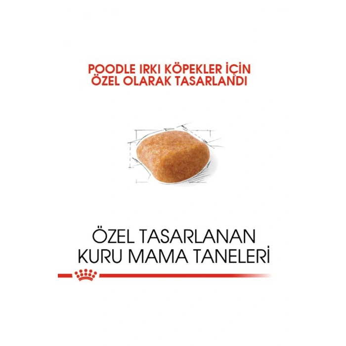 Poodle Yetişkin Kuru Köpek Maması 3kg