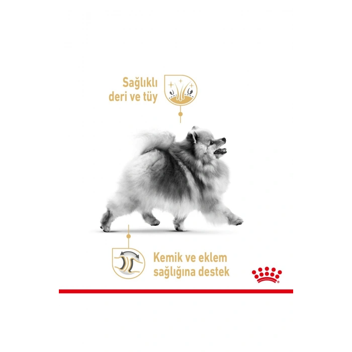 Pomeranian Kuru Köpek Maması 3kg