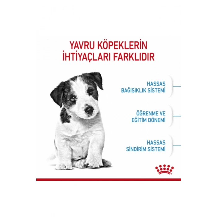 Mini Puppy Küçük Irklar Için Yavru Kuru Köpek Maması 2kg