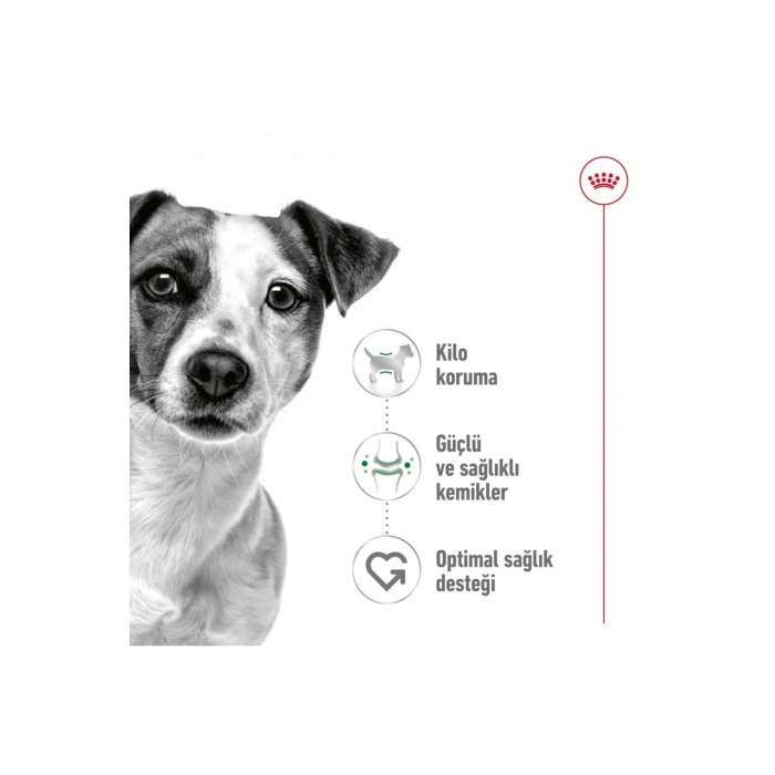 Küçük Irklar Için Yetişkin Kuru Köpek Maması 2kg