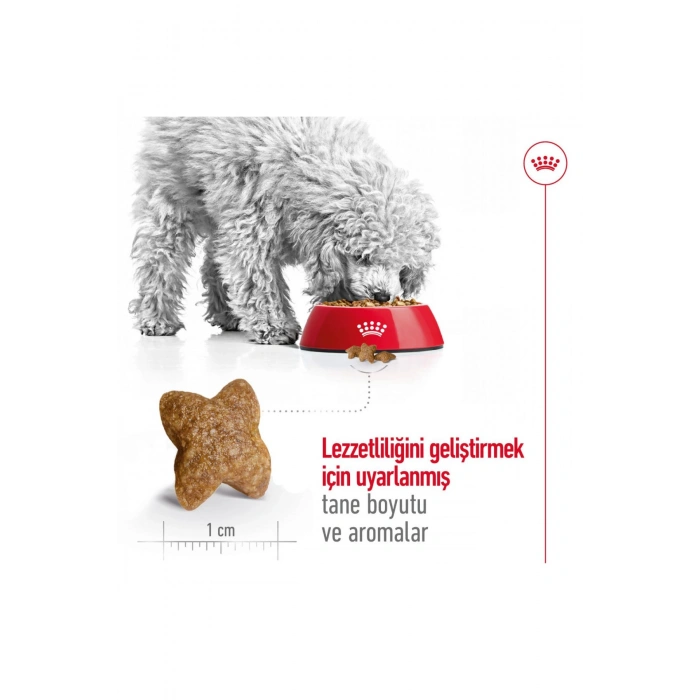 Küçük Irklar Için Yetişkin Kuru Köpek Maması 2kg