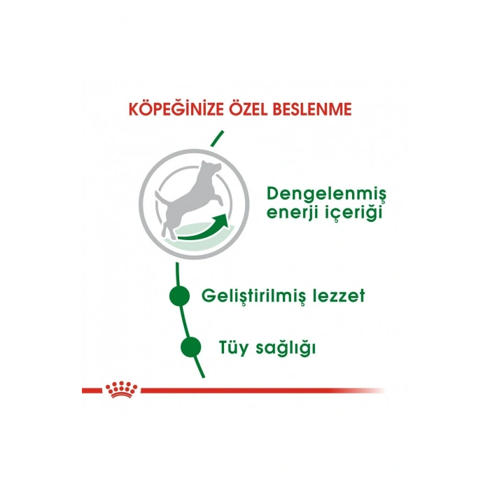 Küçük Irklar Için Yetişkin Kuru Köpek Maması 2kg