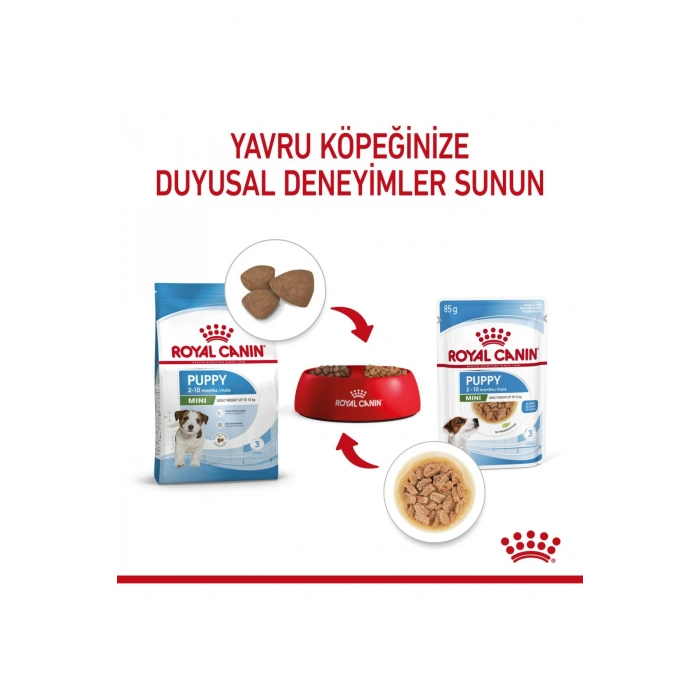 Küçük Irklar için Yavru Yaş Köpek Maması 12 x 85g