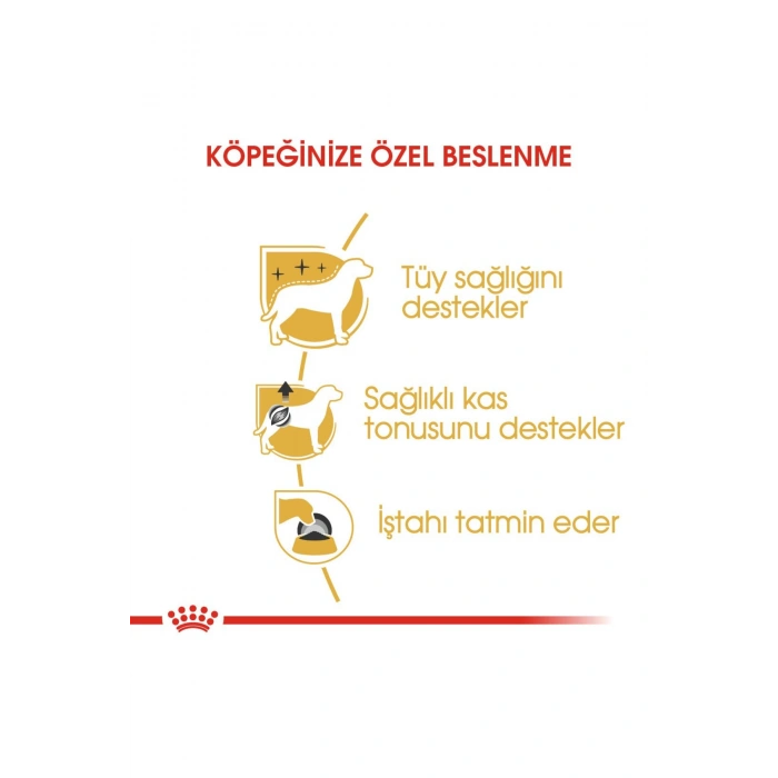 Poodle Yaş Köpek Maması 12 x 85g