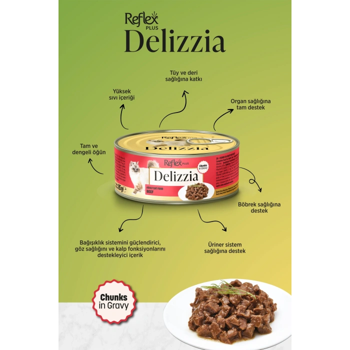Plus Delizzia / Sos İçinde Parça Etli Dana Etli Yetişkin Kedi Maması 85g x 24 Adet
