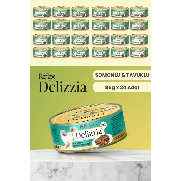 Plus Delizzia / Sos İçinde Parça Etli Somonlu & Tavuklu Yetişkin Kedi Maması 85g x 24 Adet