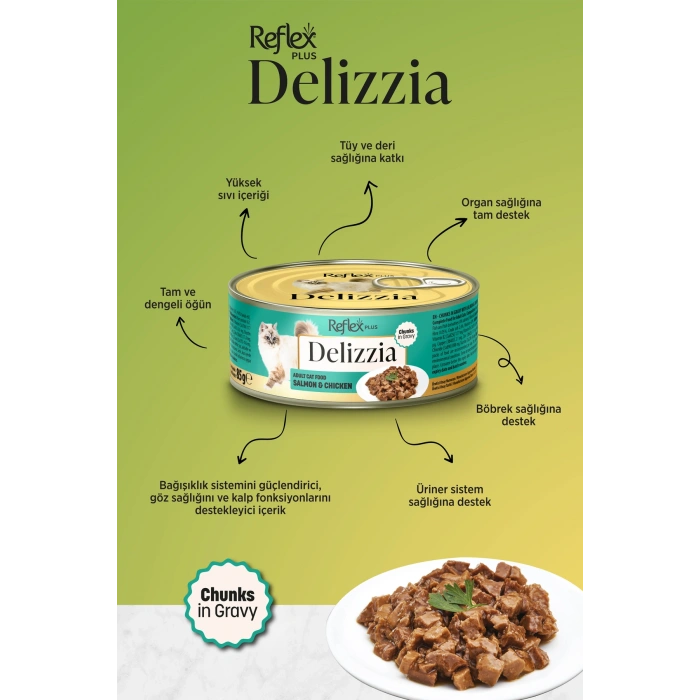 Plus Delizzia / Sos İçinde Parça Etli Somonlu & Tavuklu Yetişkin Kedi Maması 85g x 24 Adet