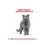 British Shorthair için Yaş Kedi Maması 12 x 85g
