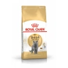 British Shorthair Adult Yetişkin Kedi Maması 400 Gr