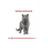 British Shorthair Adult Yetişkin Kedi Maması 400 Gr