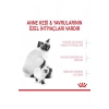 Mother&babycat Gebe/laktasyondaki Anne Ve Yavru Kedi Için Kuru Kedi Maması 2kg