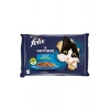 Multipack Pouch Somonlu ve Ton Balıklı Yetişkin Kedi Konservesi 4x85 Gr