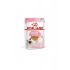 Kitten Jelly 85 Gr 12 Adet