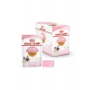 Kitten Jelly 85 Gr 12 Adet