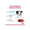 Küçük Irklar için Yavru Yaş Köpek Maması 12 x 85g