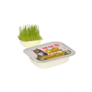 Doğal Kedi Çimi Fileli