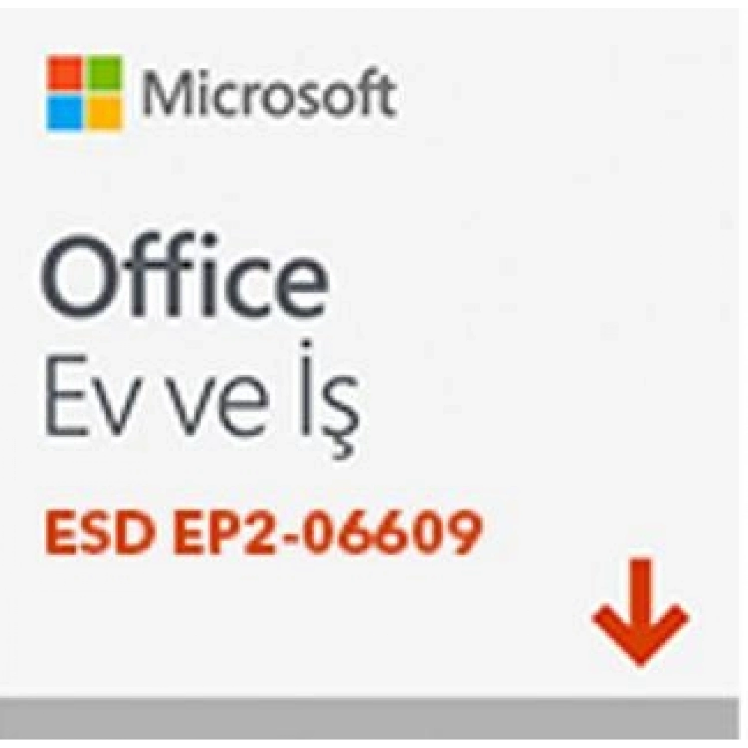 MICROSOFT OFFICE EV 2024 - ESD EP2-06609