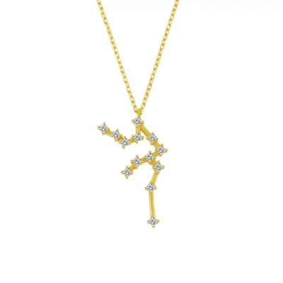 Zodiac Koleksiyonu Taşlı Gümüş Kova Burcu Kolye