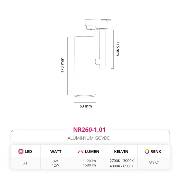 Nevo Dekoratif Ray Spot Beyaz NR260-1