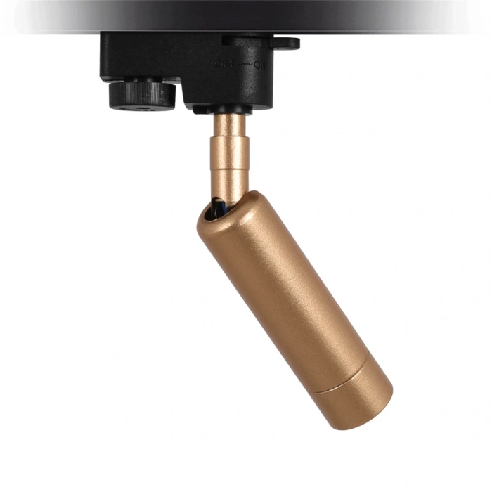 Nevo Dekoratif Ray Spot Gold NR341