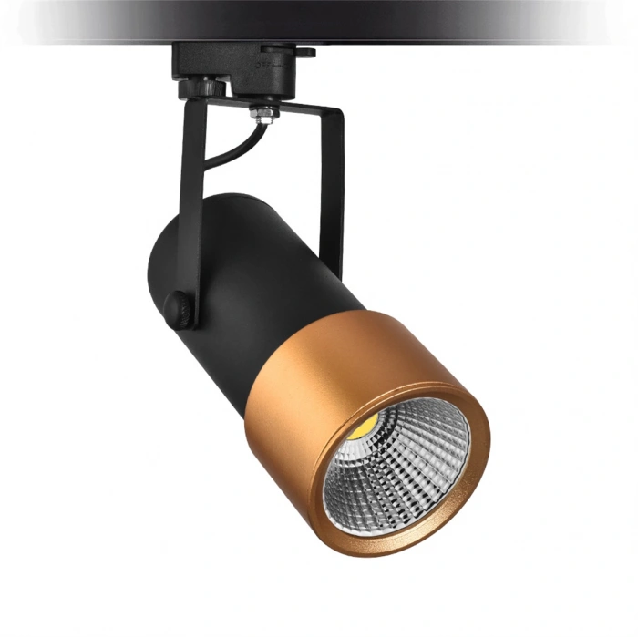 Nevo Dekoratif Ray Spot Siyah Gold NR112-1