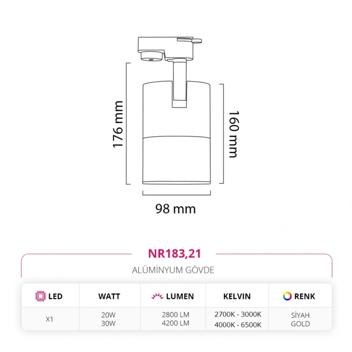 Nevo Dekoratif Ray Spot Siyah Gold NR183
