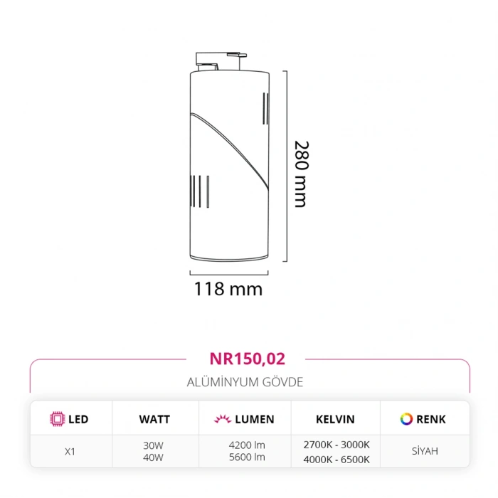 Nevo Dekoratif Ray Spot Siyah NR150