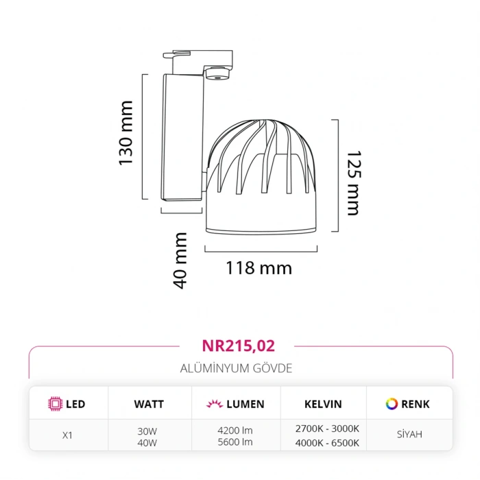 Nevo Dekoratif Ray Spot Siyah NR215
