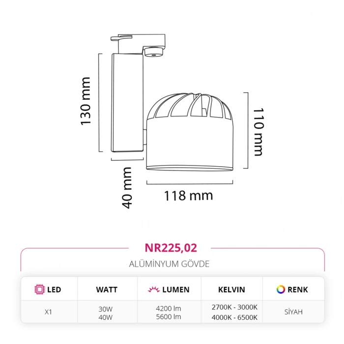 Nevo Dekoratif Ray Spot Siyah NR225