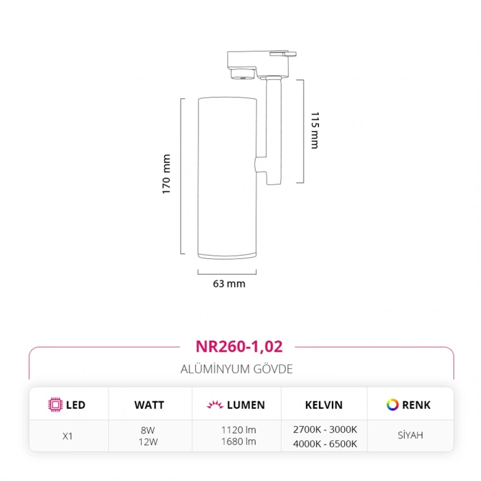 Nevo Dekoratif Ray Spot Siyah NR260-1