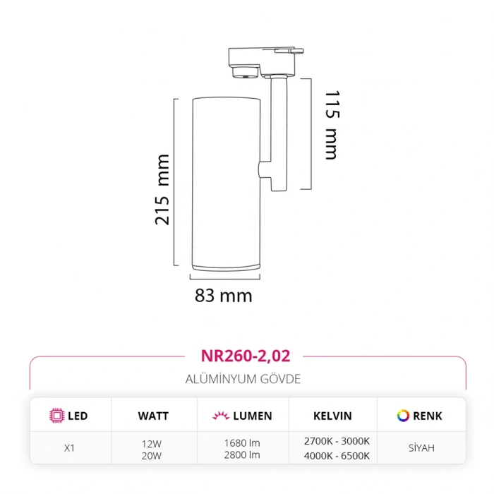 Nevo Dekoratif Ray Spot Siyah NR260-2