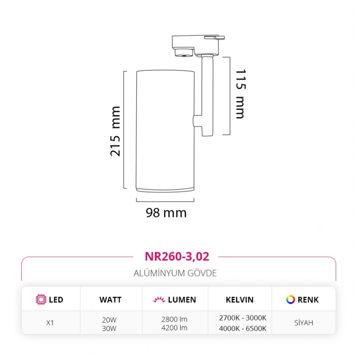 Nevo Dekoratif Ray Spot Siyah NR260-3