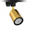 Nevo Dekoratif Ray Spot Gold NR338