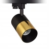 Nevo Dekoratif Ray Spot Siyah Gold NR360-1