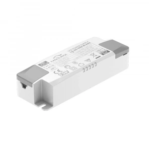 40-700-RI1 Eaglerise 40W 700mA led sürücü 32~56vdc