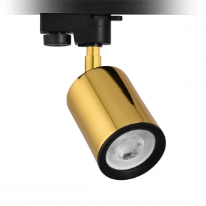 Nevo Dekoratif Ray Spot Gold NR338
