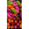 UV BOYALI PORTEKİZ SURF KURŞUNU