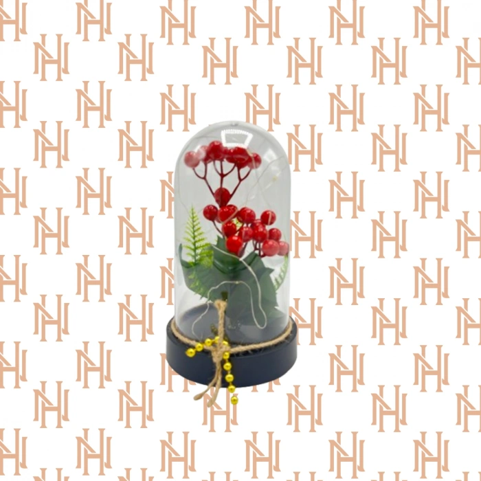 BÜYÜK BOY IŞIKLI FANUS*50