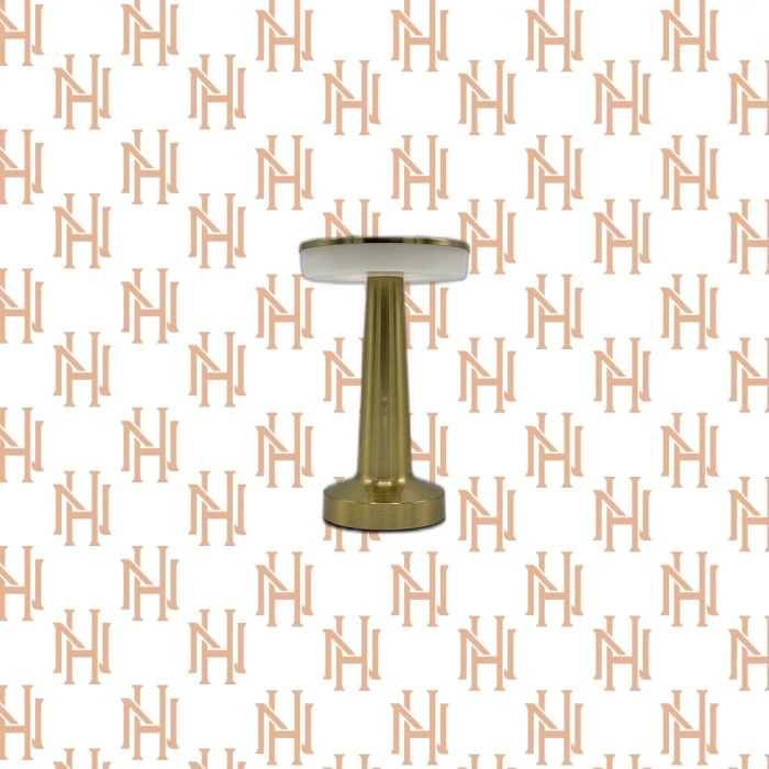 ZMR-677 LEDLİ MASA LAMBASI*20