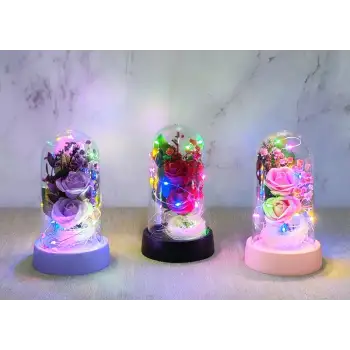 Işıklı Müzikli Romantik Fanus Tekli Gül