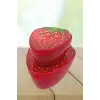 2li İç İçe Geçebilen Çilek Model Saklama Ve Beslenme Kabı Seti (550 Ml + 250 Ml)