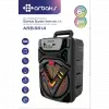 6.5 Inç Karaoke + Bluetooth Super Bass Höparlör Arbaks ARBS614
