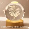 Bitki Temalı LED Işıklı Cam Küre Ahşap Standlı Modern Gece Lambası