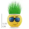 Çim Adam Saksı Emoji Figürlü 1 Adet