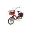 Dekoratif Metal Bisiklet