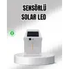 Güneş Enerjili Dış Mekan Sensörlü Duvar Lambası IP65 Su Geçirmez