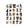Sevimli Köpek Çıkartmaları Laptop Notebook Tablet Sticker Seti