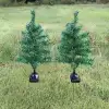 Solar Dekoratif Çam Ağacı