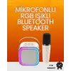 Yüksek Performanslı Kablosuz Karaoke Hoparlör